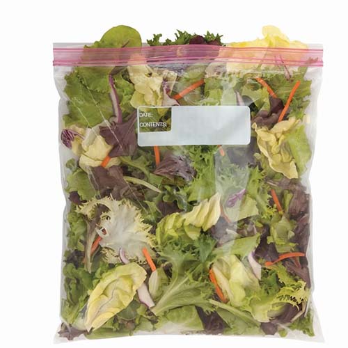 Salad leaves are packed in Sensory Zipper